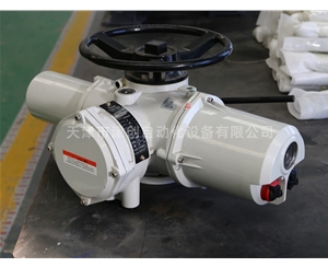 引進羅托克技術多回轉(zhuǎn)電動執(zhí)行器